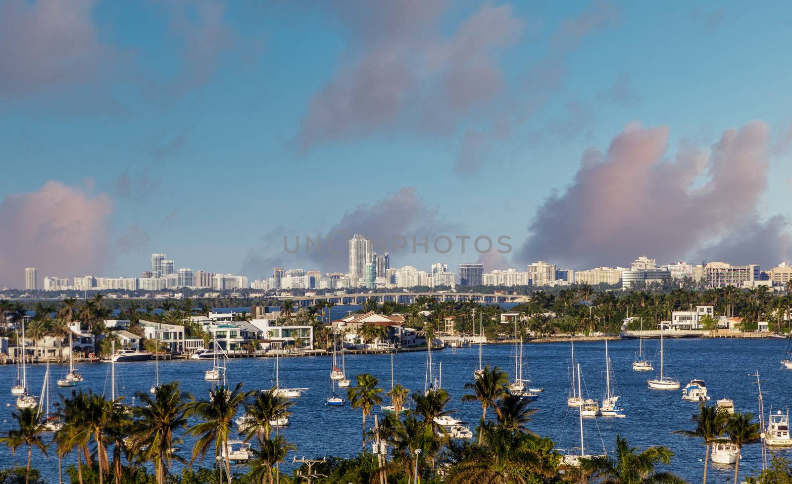 Many Sailboats and Yachts Moored in Biscayne Bay