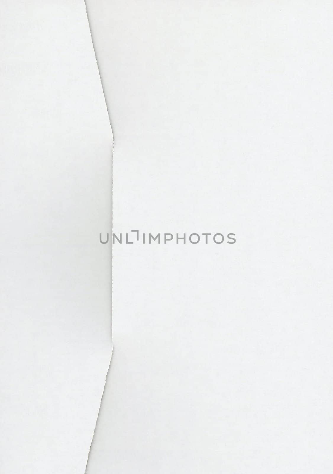 off white cardboard texture background by claudiodivizia