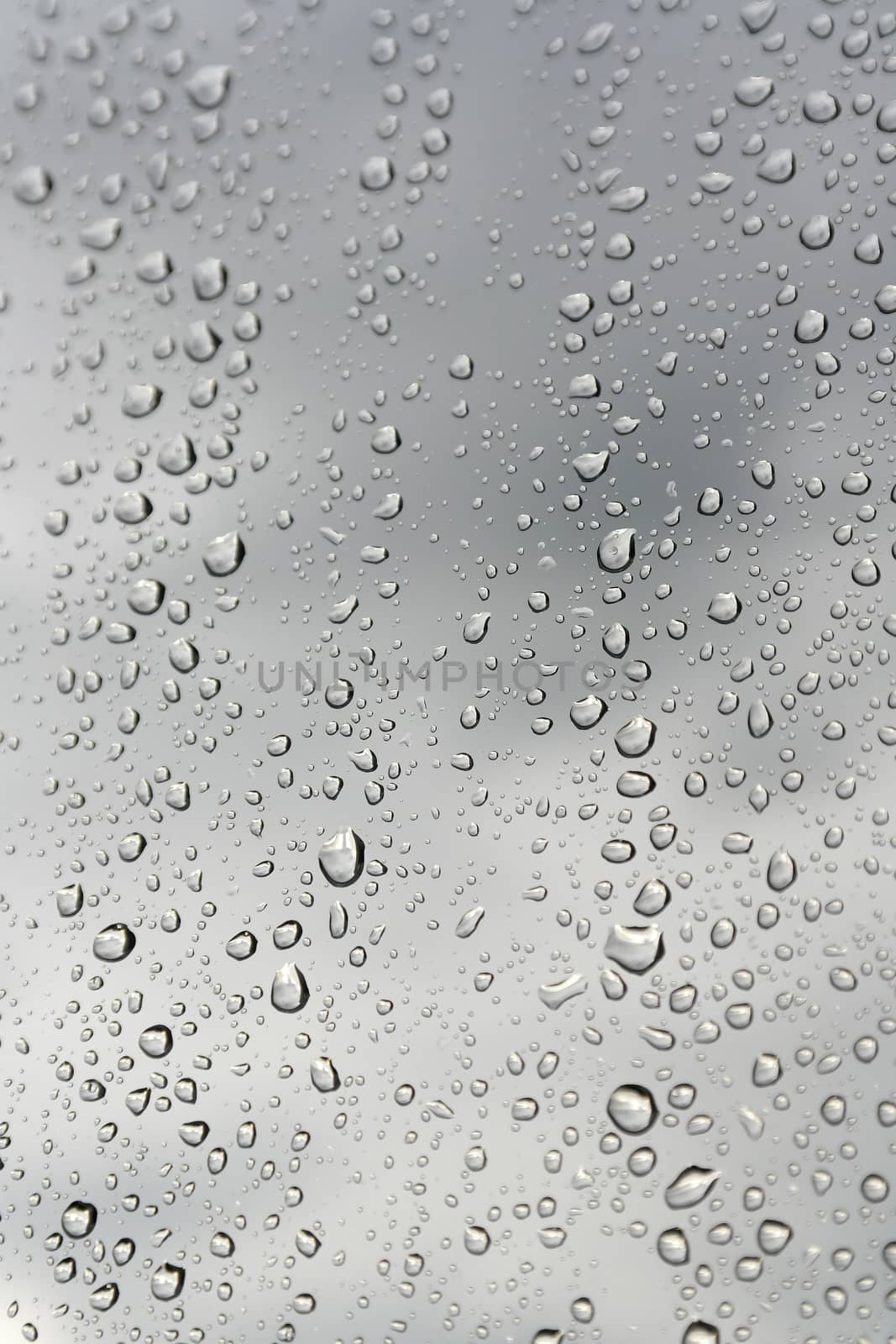 Drops of rain on the window. Shallow DOF.