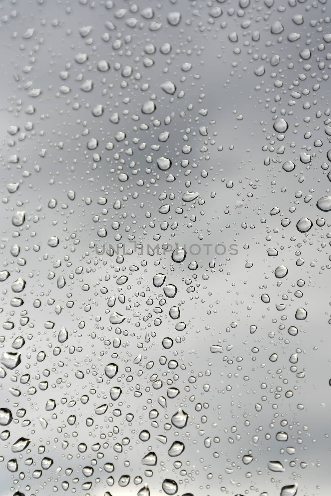 Drops of rain on the window. Shallow DOF.