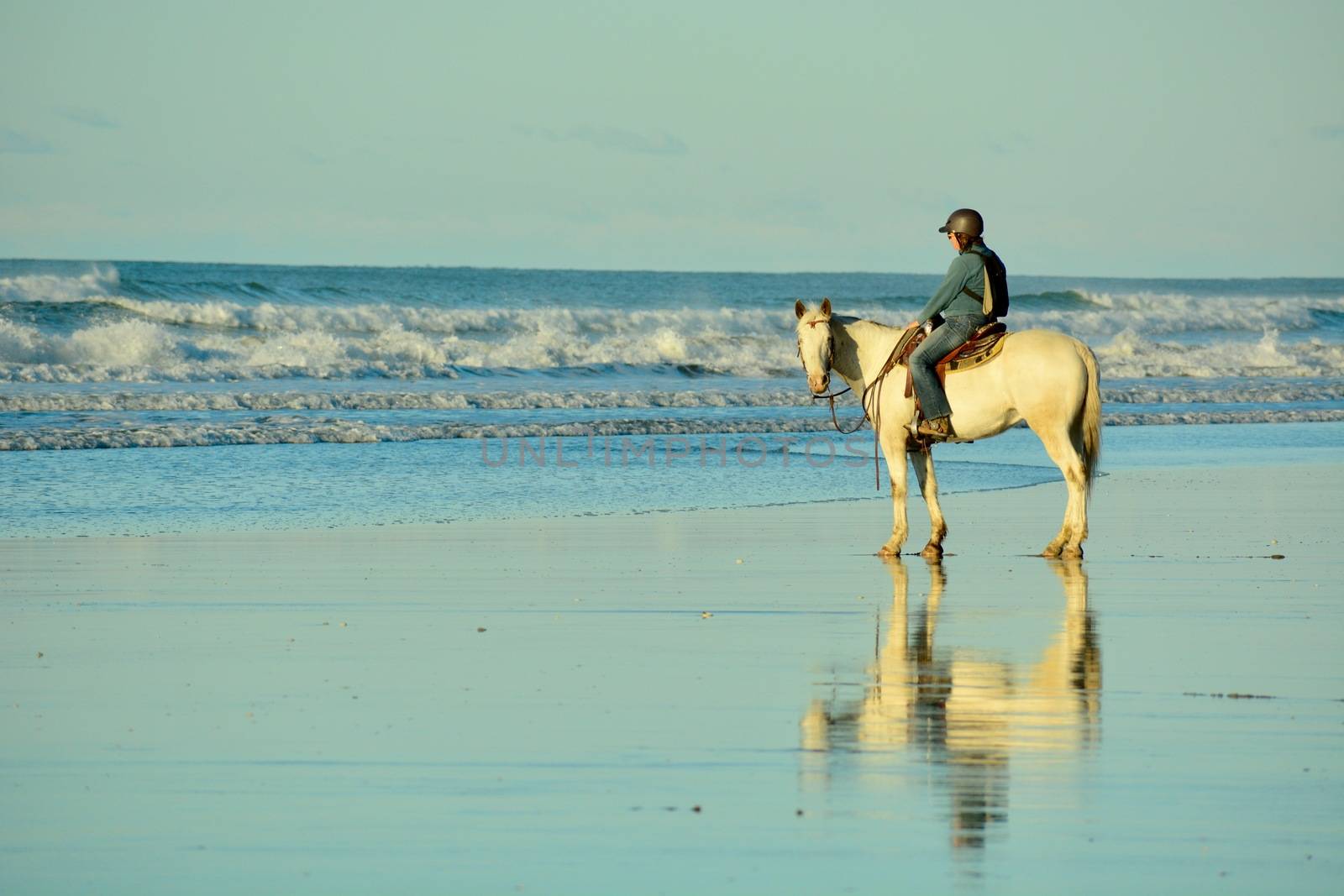 Papamoa Beach, Papamoa, New Zealand – July 07, 2019: an unidentified woman on a white horse at a seashore. by Marshalkina