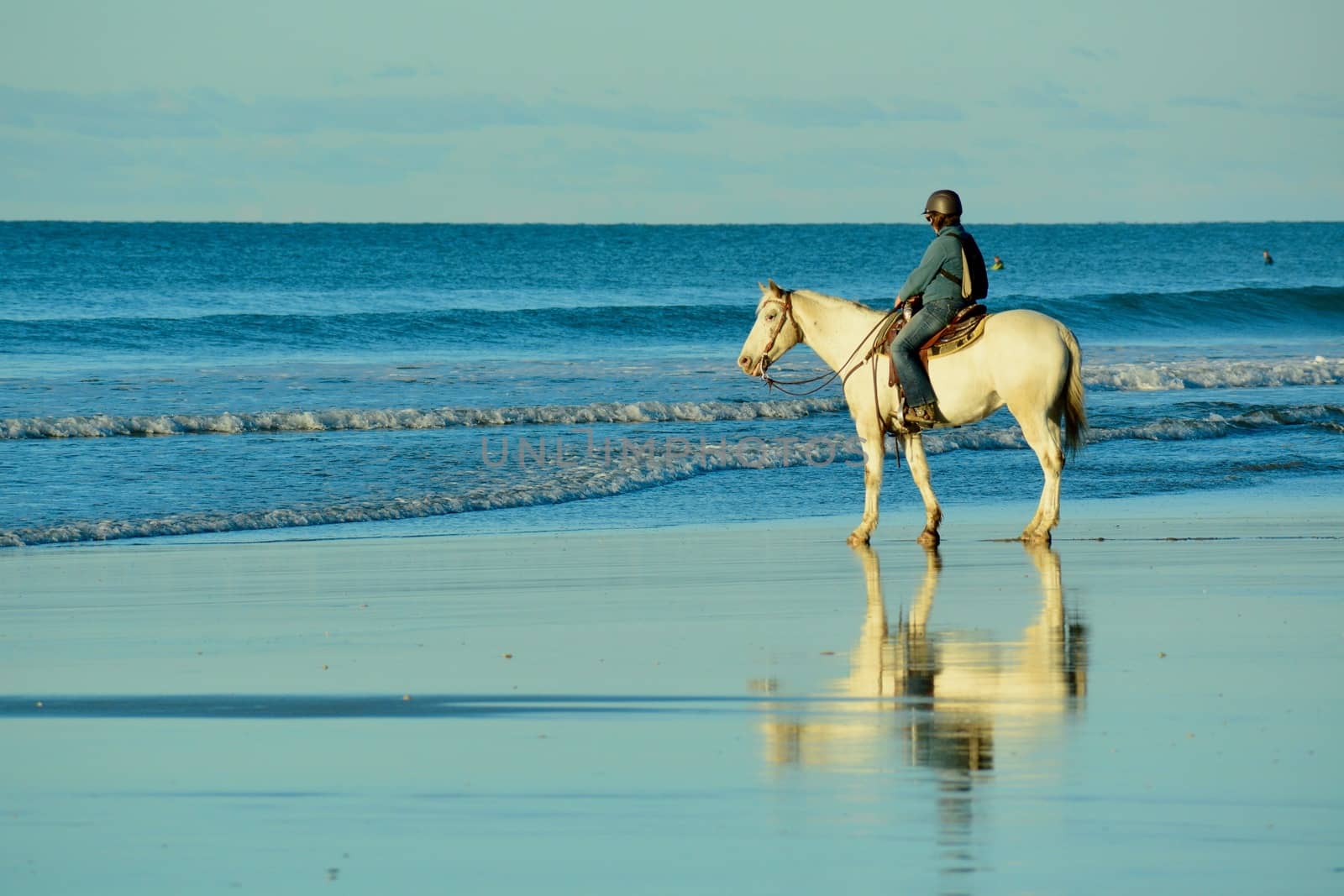 Holidays at the sea; winter time in New Zealand; riding a horse at a seashore