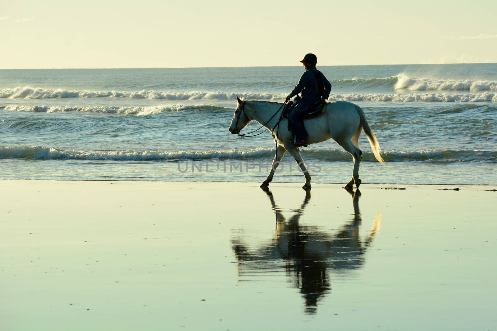 Papamoa Beach, Papamoa, New Zealand – July 07, 2019: an unidentified woman on a white horse at a seashore. by Marshalkina