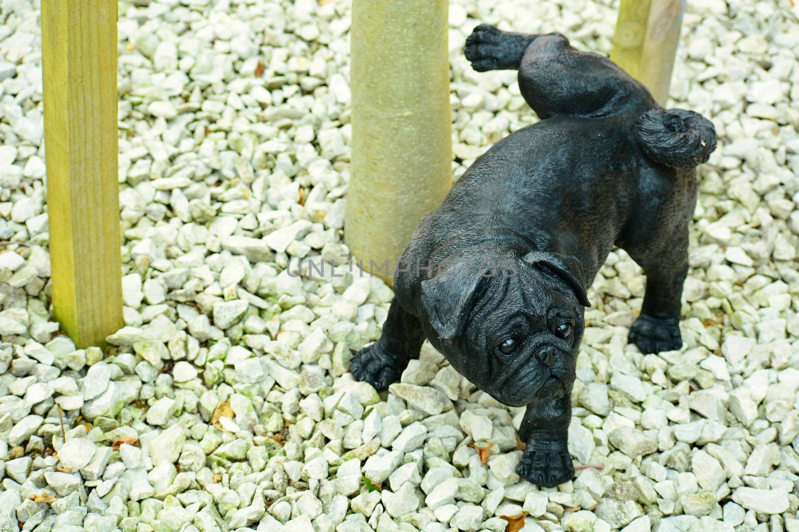 Matakana, New Zealand - Dec 2019: Sculptureum sculpture park. A funny garden sculpture representing a a peeing dog, a pug by Marshalkina