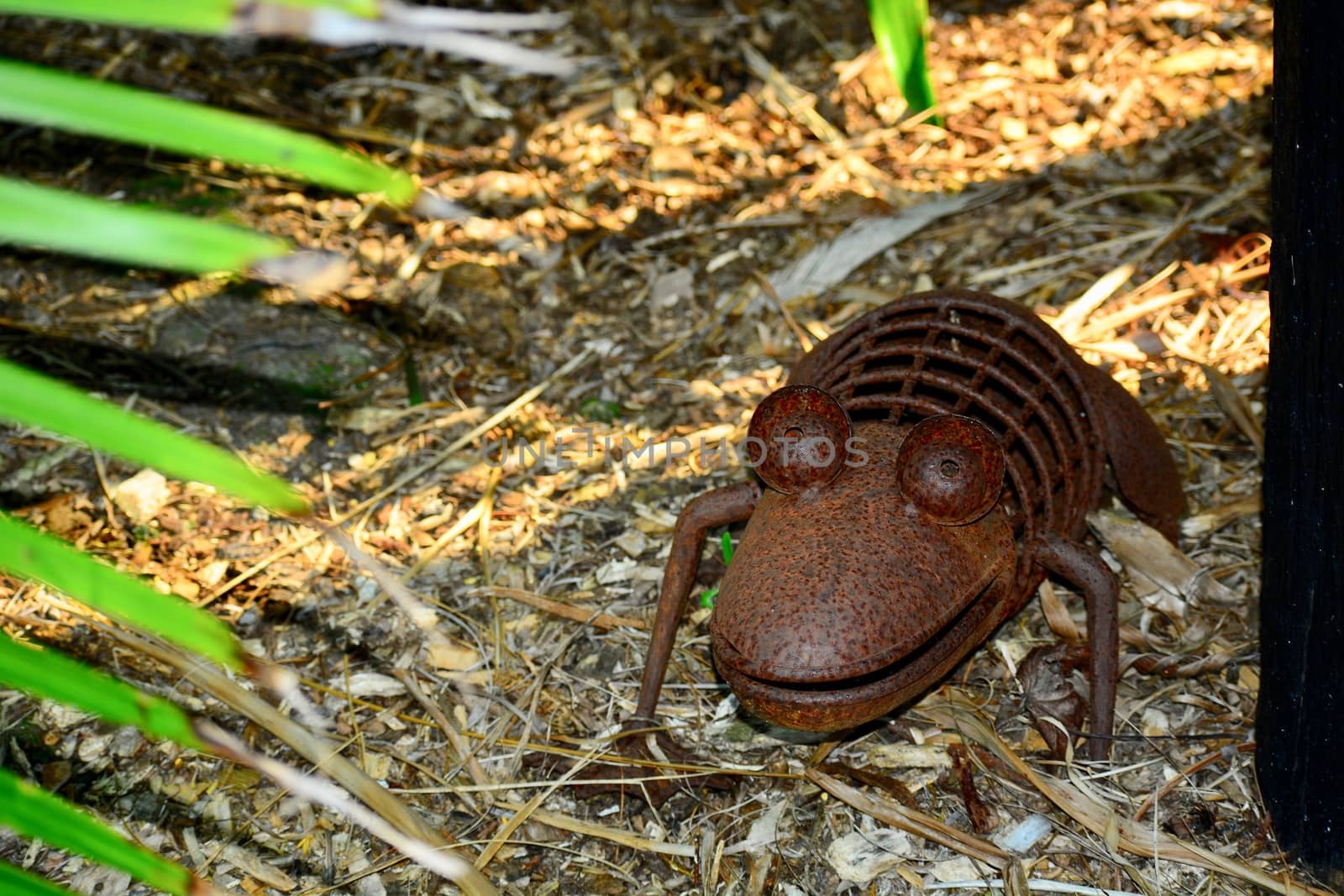 Matakana, New Zealand - Dec 2019: Sculptureum sculpture park. Peculiar modern sculpture made of rusty wire and some metal parts, representing a small crocodile hiding in the grass. by Marshalkina