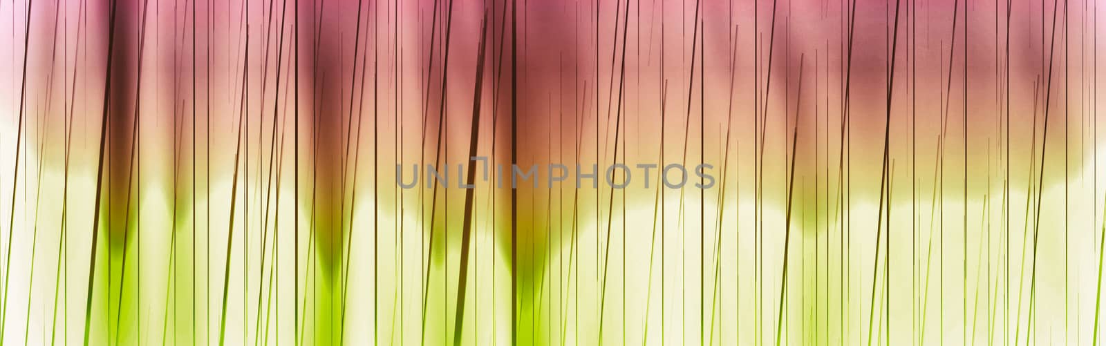 Rainbow colors abstract background for web design. Colorful spectrum gradient.