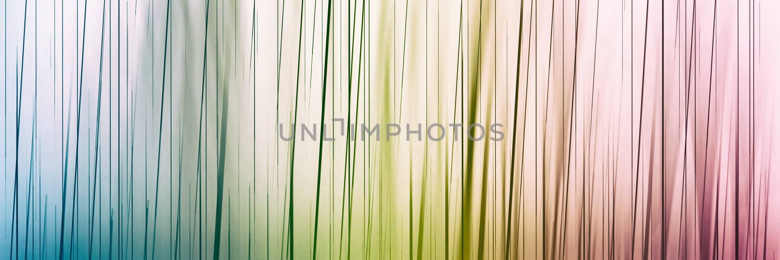 Abstract background for web design. Colorful gradient.