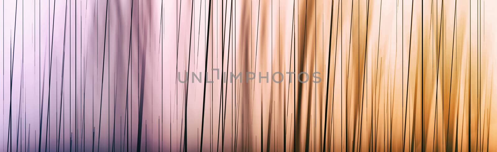 Abstract background for web design. Colorful gradient.