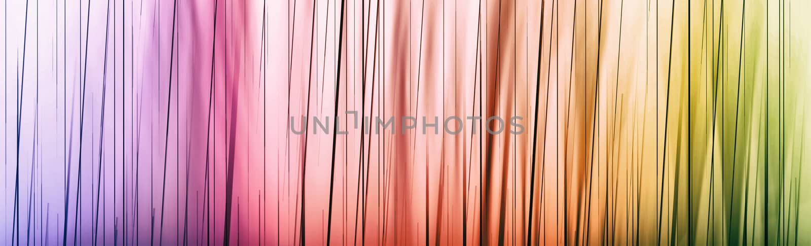 Rainbow colors abstract background for web design. Colorful spectrum gradient.