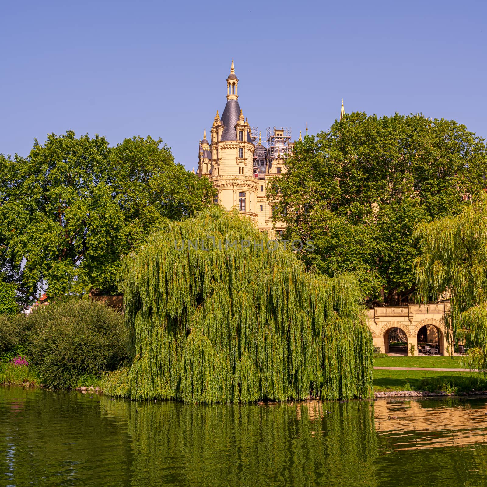 The branches of a weeping willow by Schwerin Castle seem to gracefully cascade into the lake.