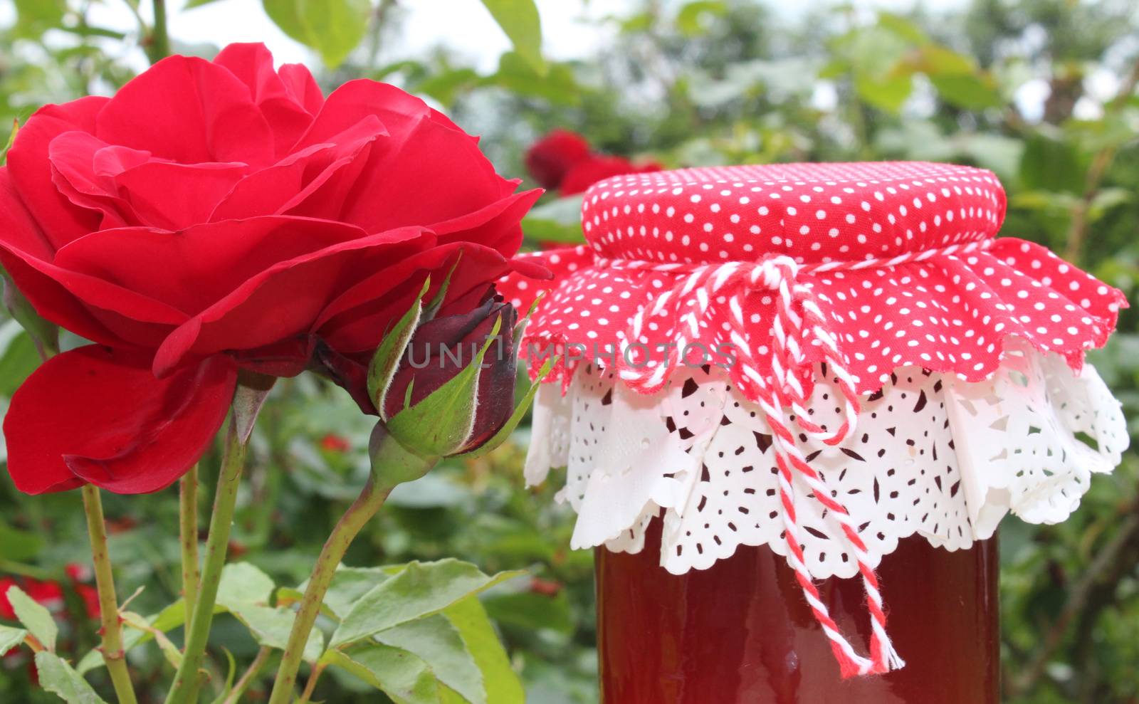 The picture shows rose jelly and blossoming roses