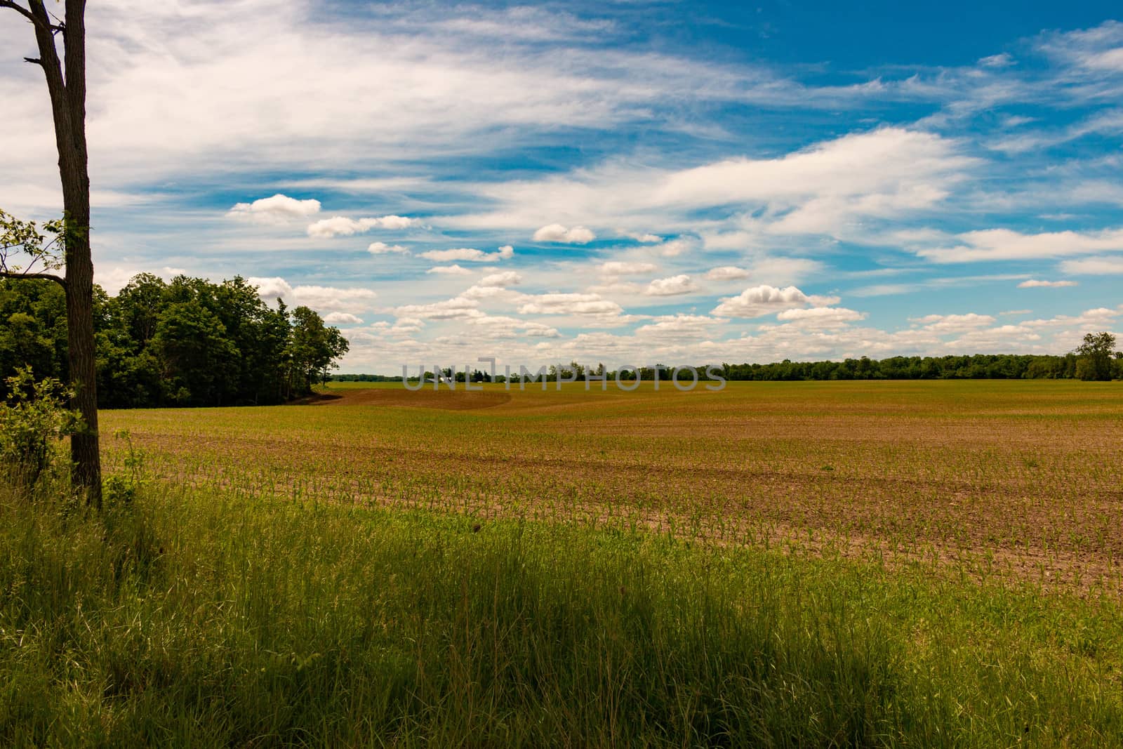 Farm land, Ontario, Canada. View of freshly planted fields