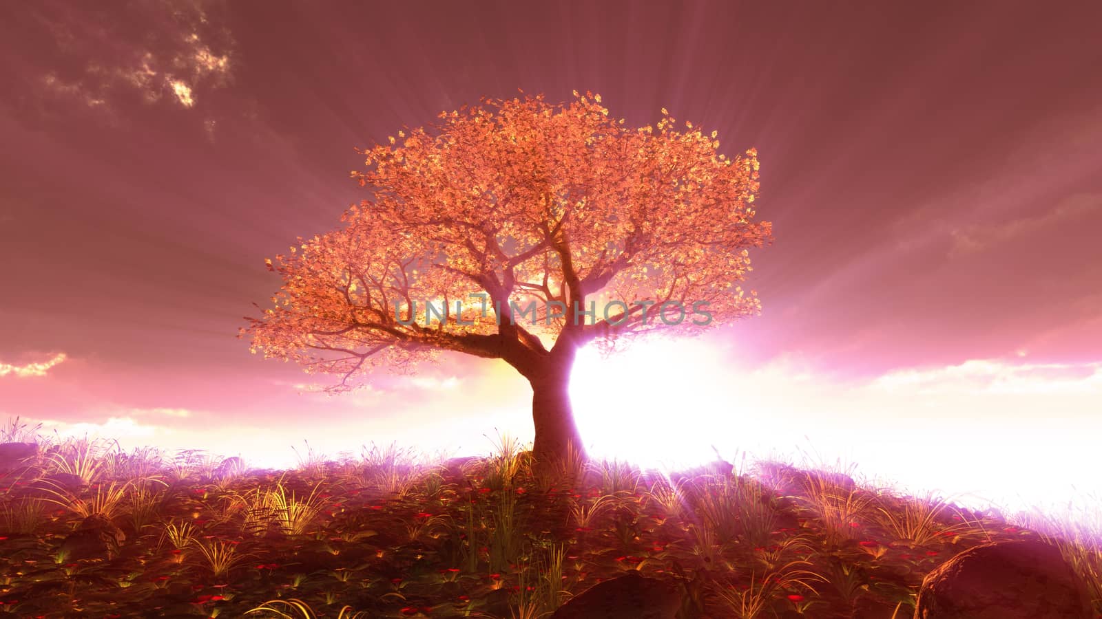 tree spring in meadow sunset illustration, 3d rendering