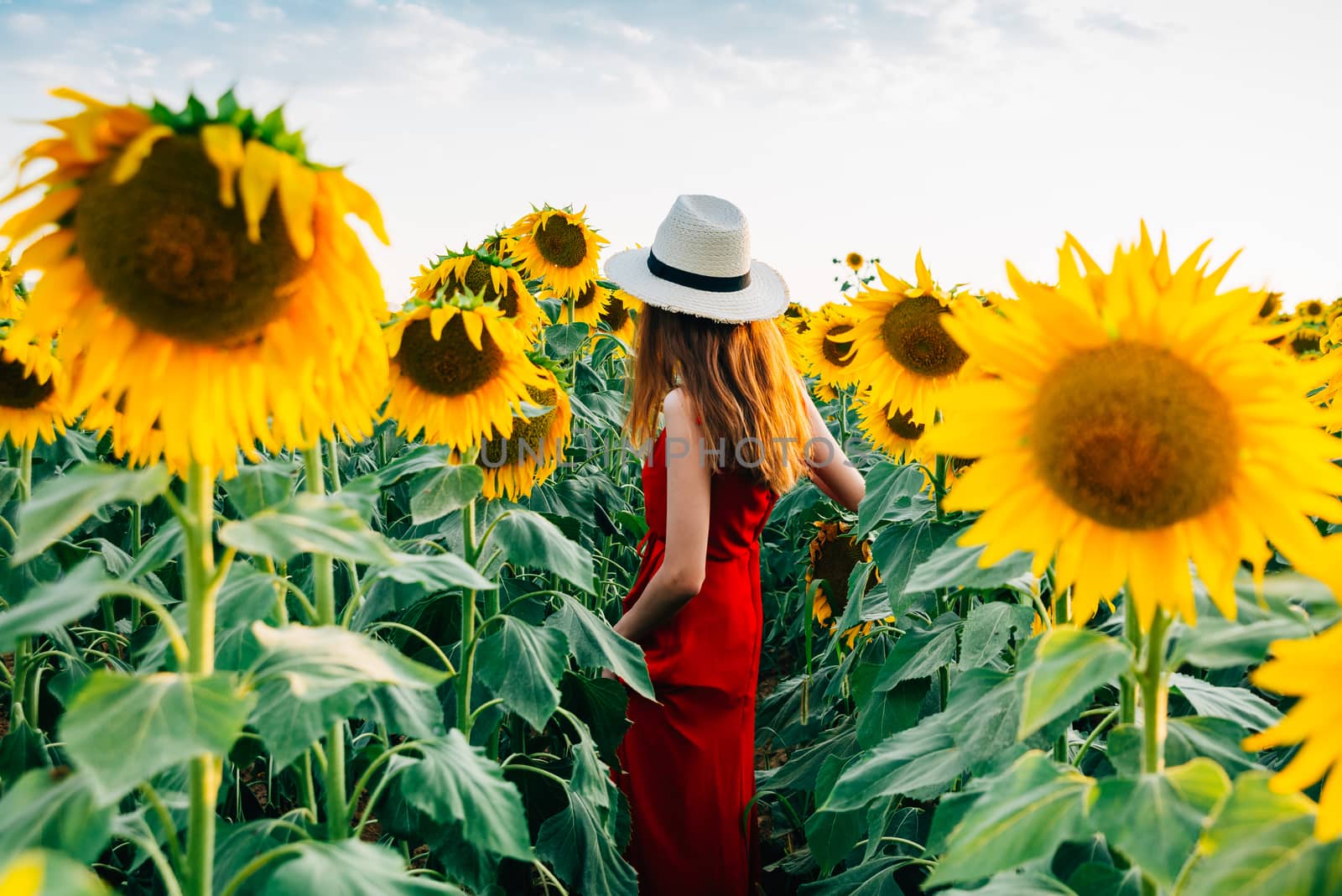 woman in red dress and hat entering sunflower field. by Fotoeventis