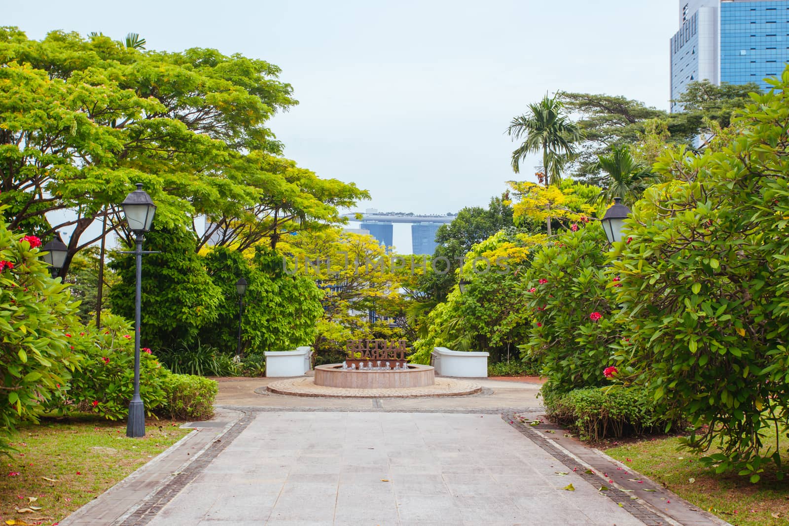 Fort Canning Park in Singapore by FiledIMAGE