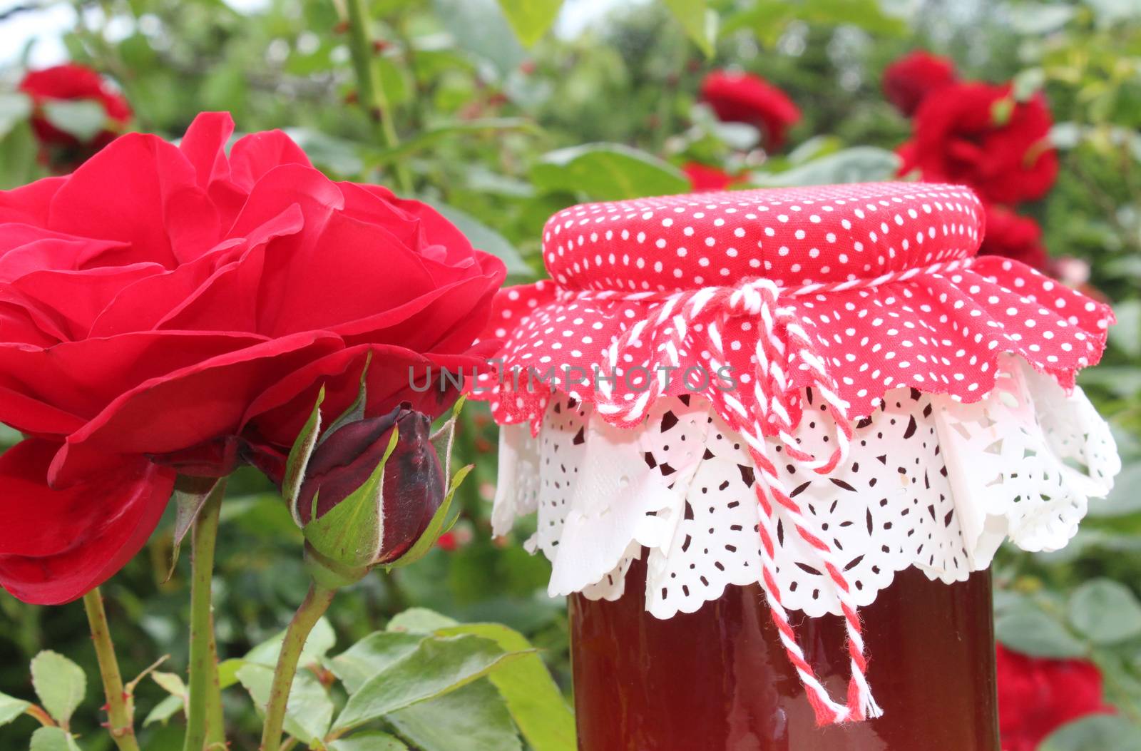 The picture shows rose jelly in the garden