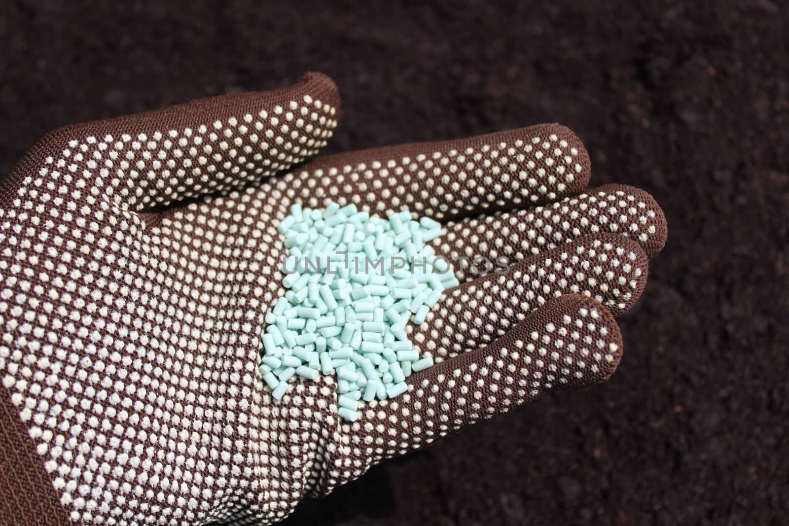 snail pellets in a hand with gloves by martina_unbehauen