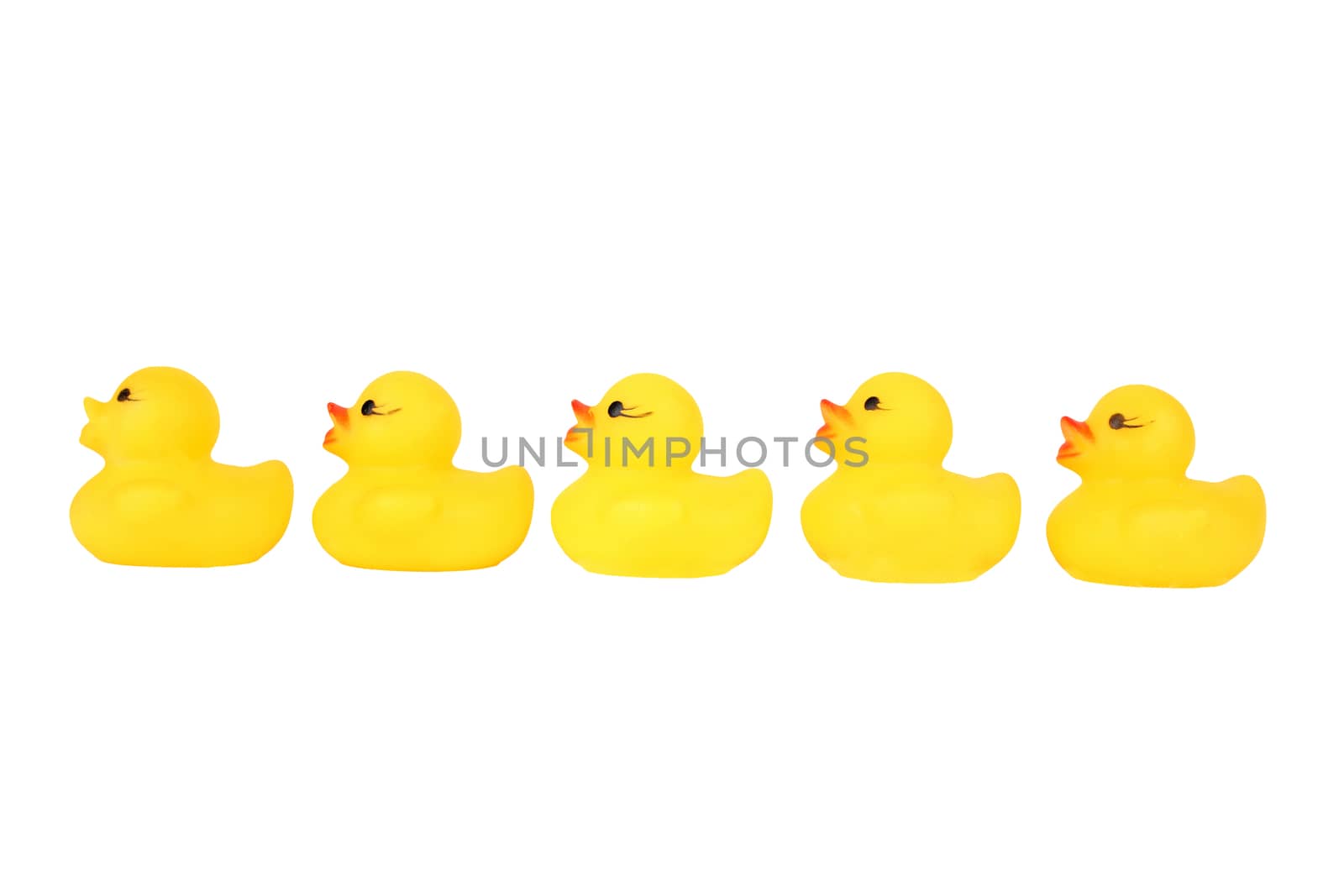 Five yellow plastic rubber duck in a row cut out on and isolated on a white backgroun