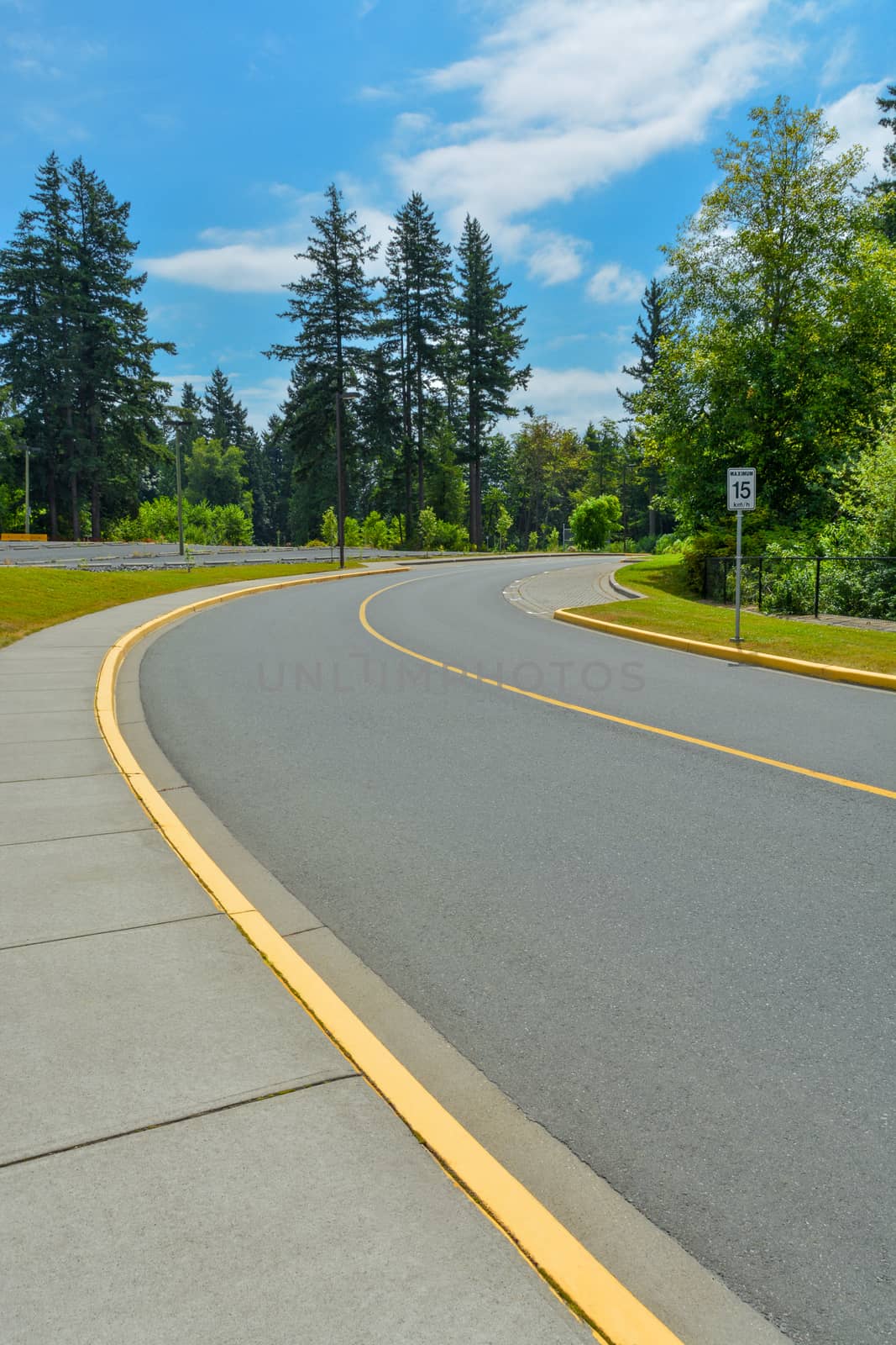 Road curve with 15kmh speed limit leading to the forest