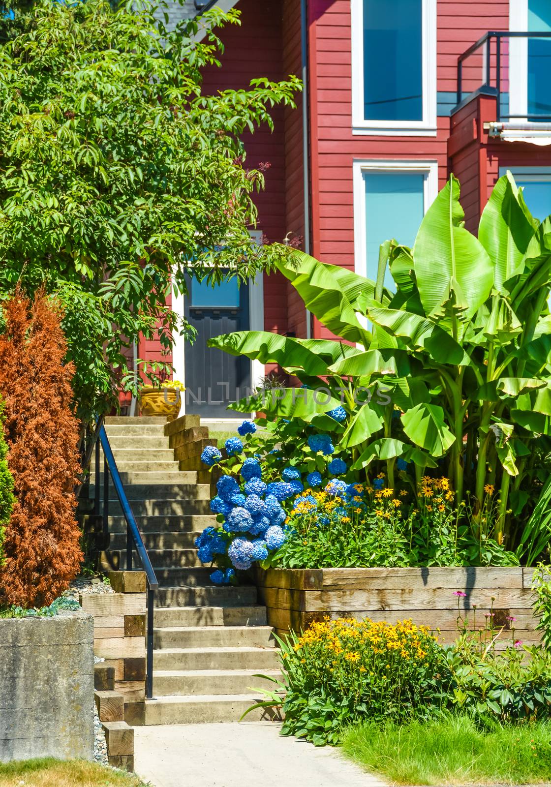 Entrance of beautiful suburban house with landscaped terrace and blue sky background. Residential house at sunny day in British Columbia