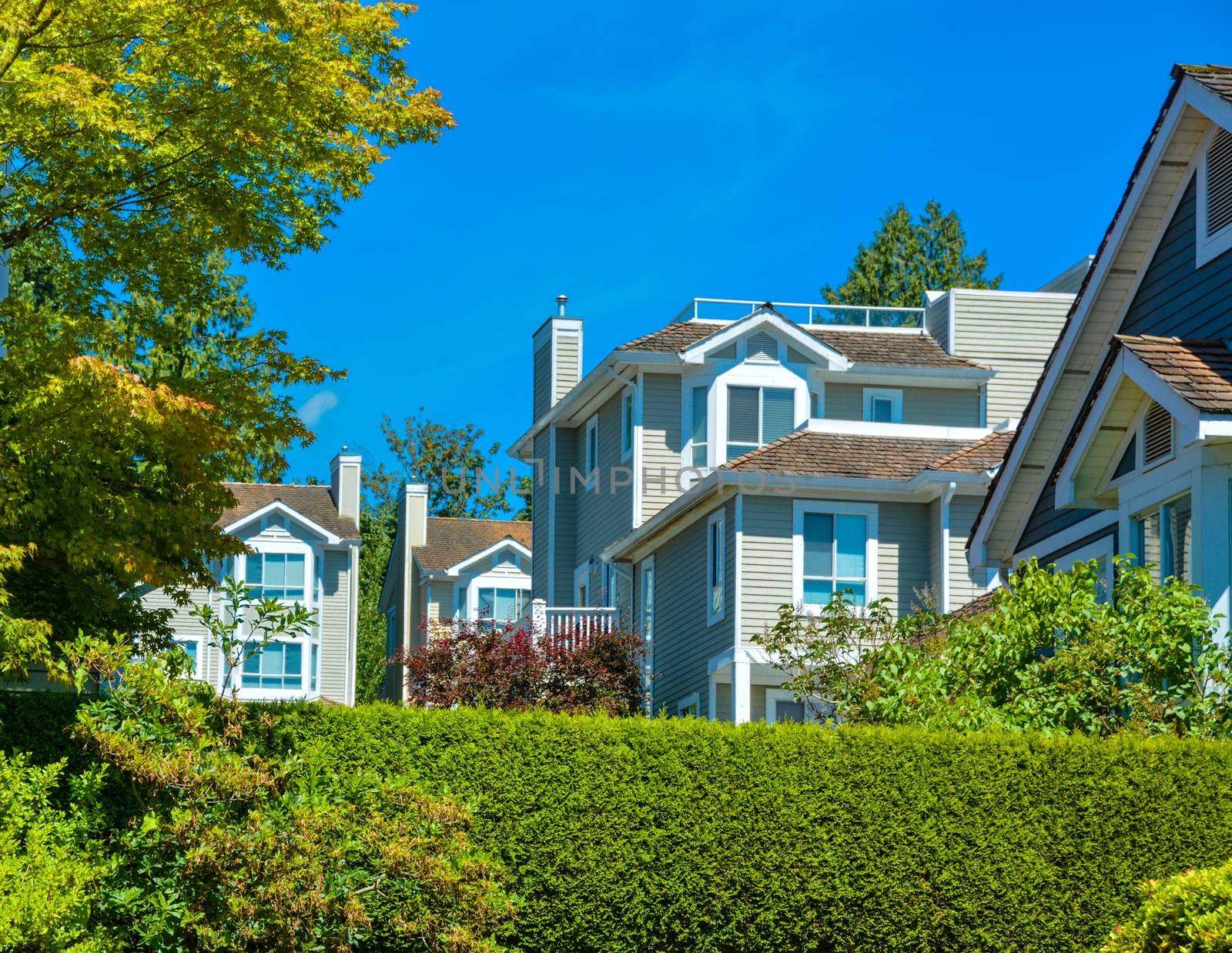 Top of residential townhouses on blue sky background