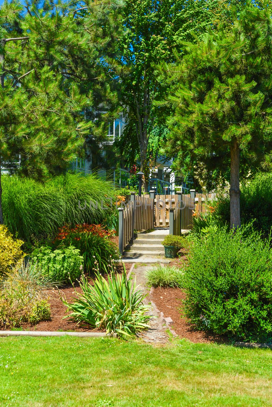 Pathway through recreational summer garden in residential area
