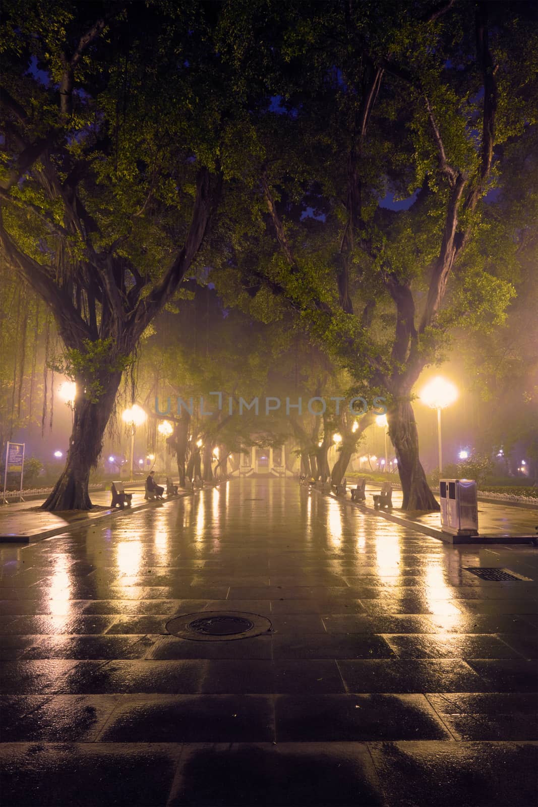Guangzhou People's Park with fog at night, China by dimol