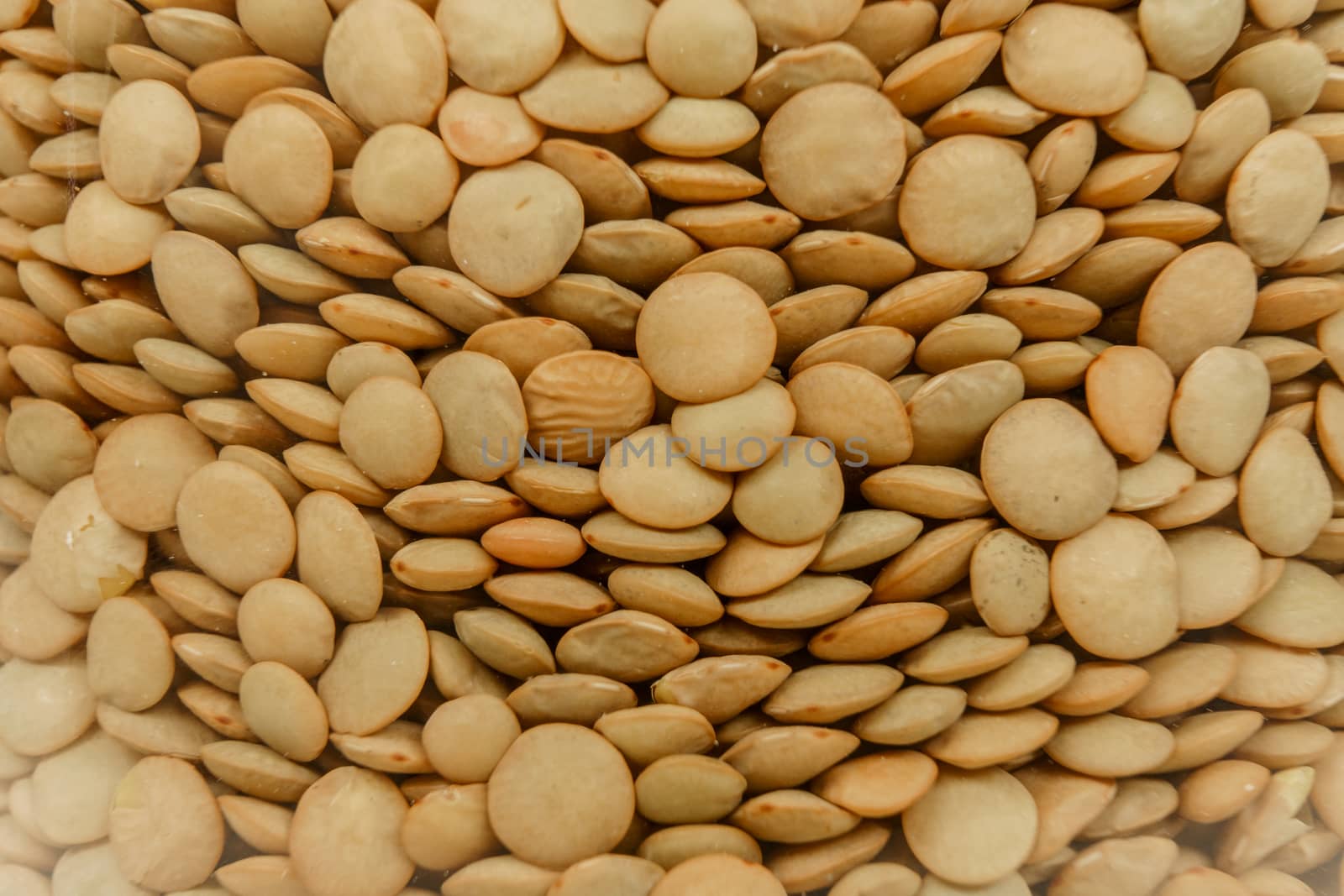 Back to the natural vegan food theme concept background: macro close up view view of raw dried lentils in a glass jar