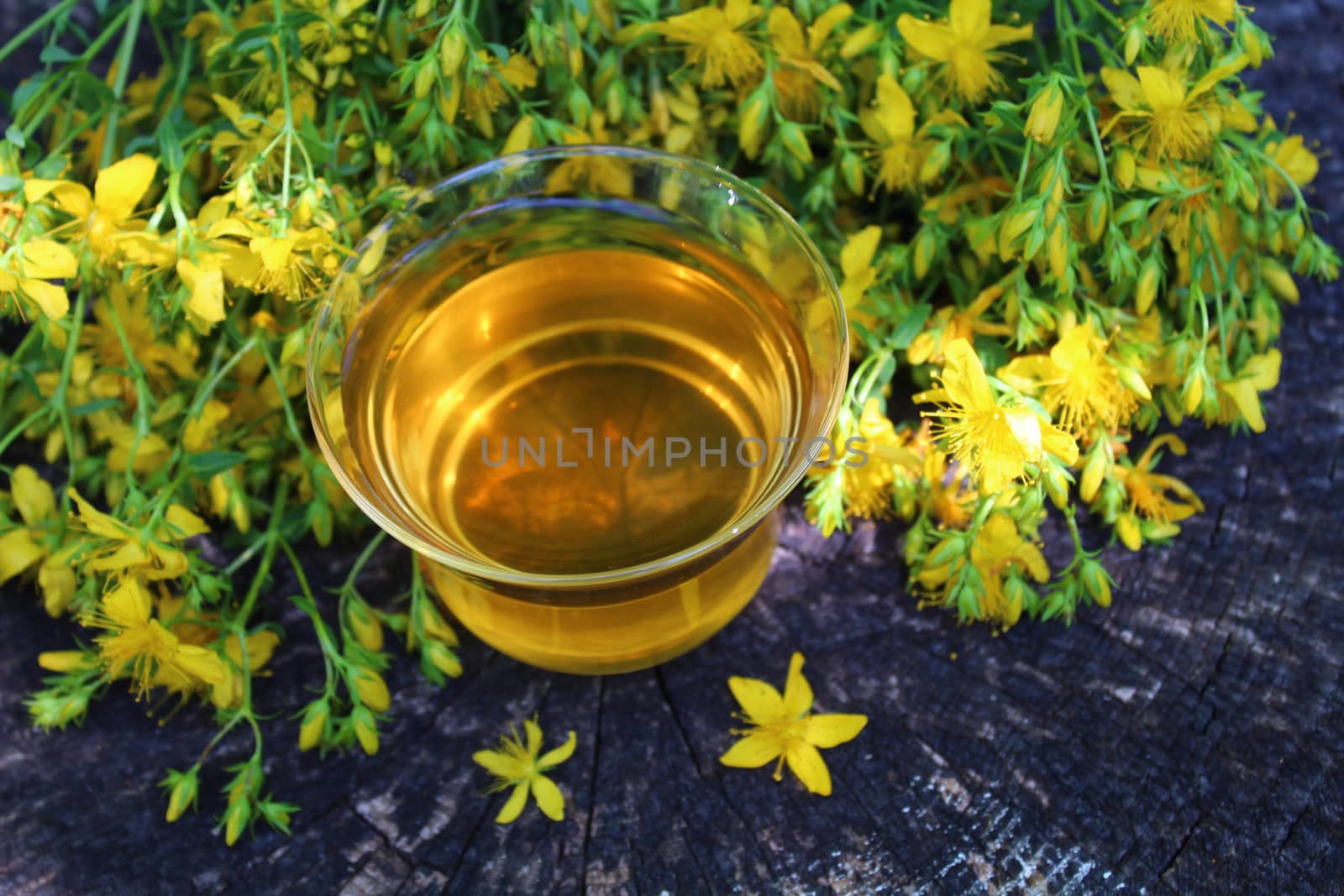 The picture shows herb tea on an old weathered tree trunk