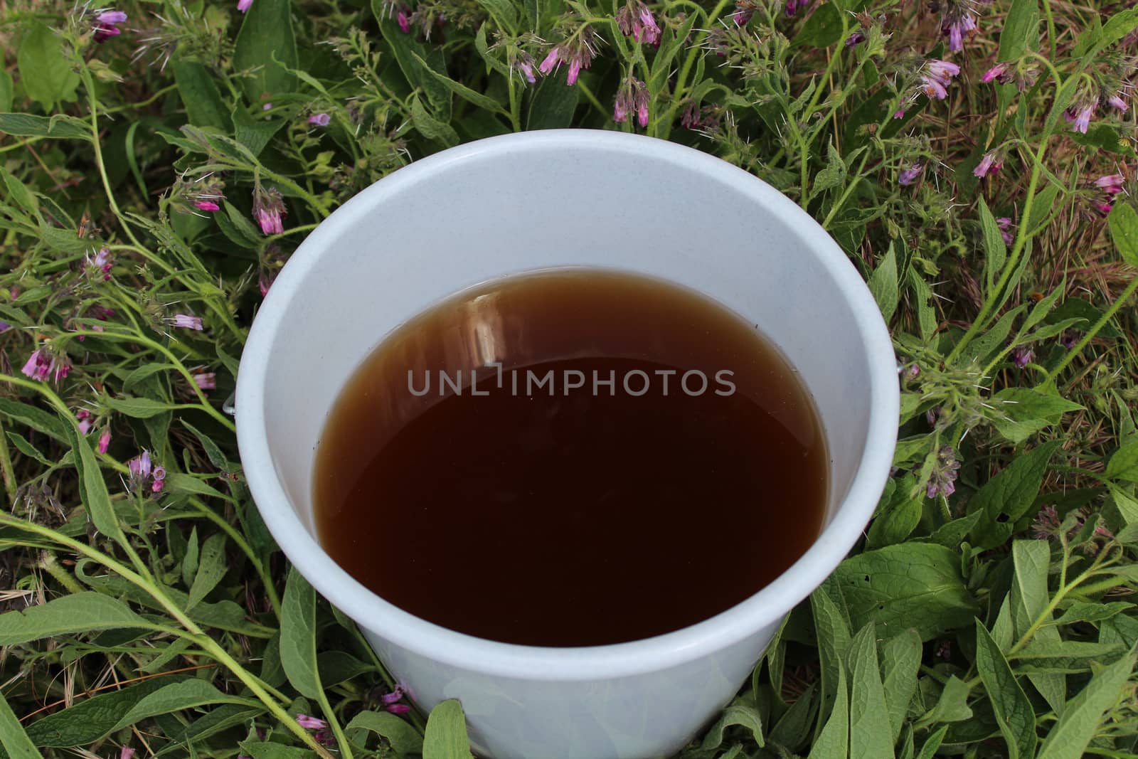 liquid manure from comfrey in a comfrey field by martina_unbehauen