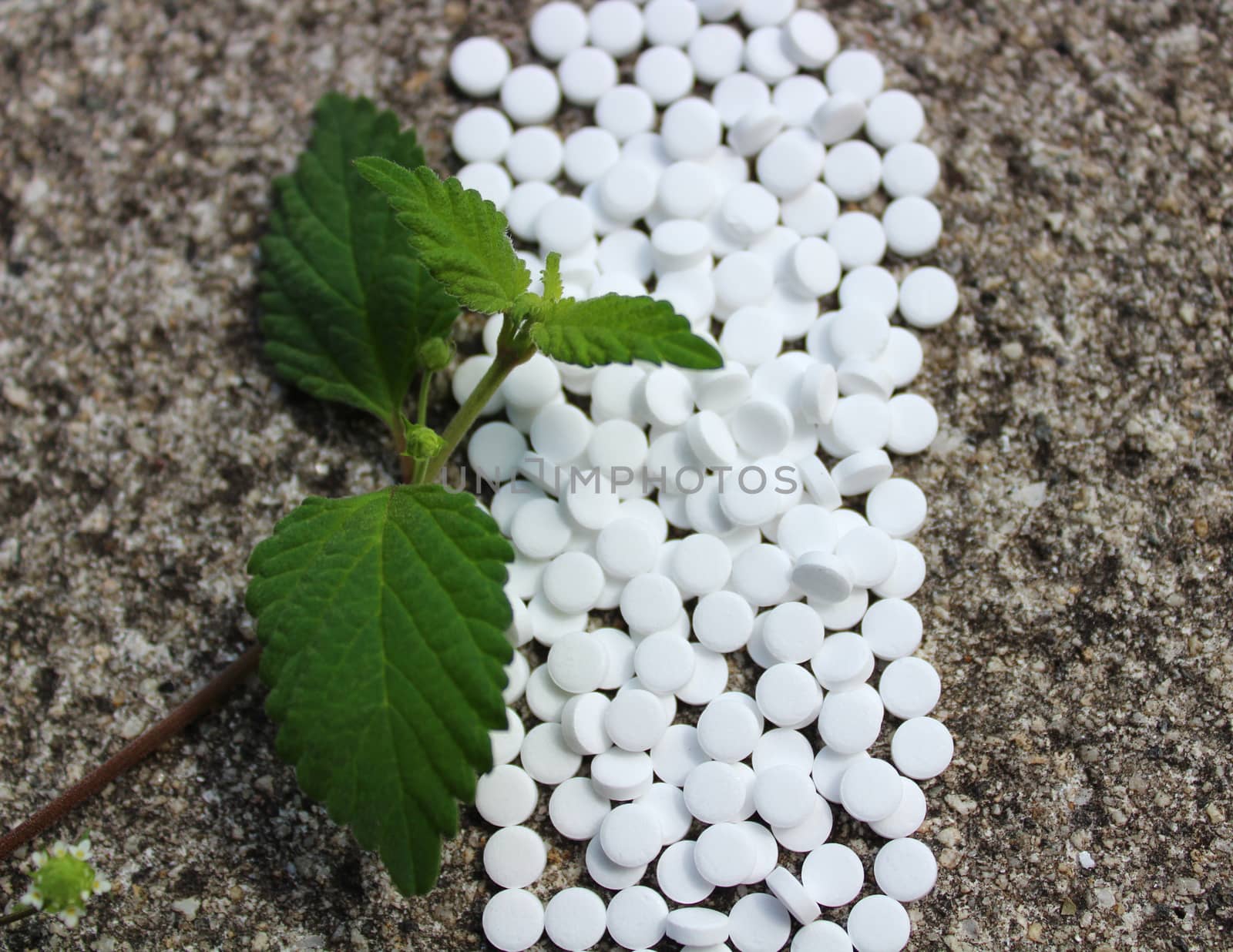 candy leaf and sweetener on a stone floor by martina_unbehauen