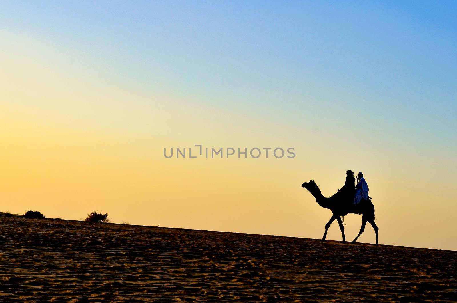 Silhouette of an Arabian camel carrying tourists in Sam Sand Dunes, Thar Desert, Jaisalmer, India. These sand dunes are amongst the most famous ones in Rajasthan. by jayantbahel