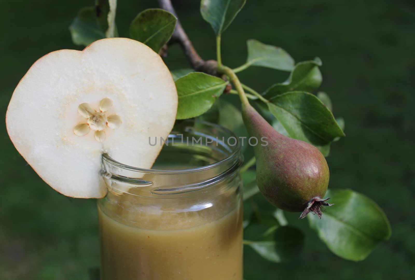 The picture shows pear sauce in front of a pear tree