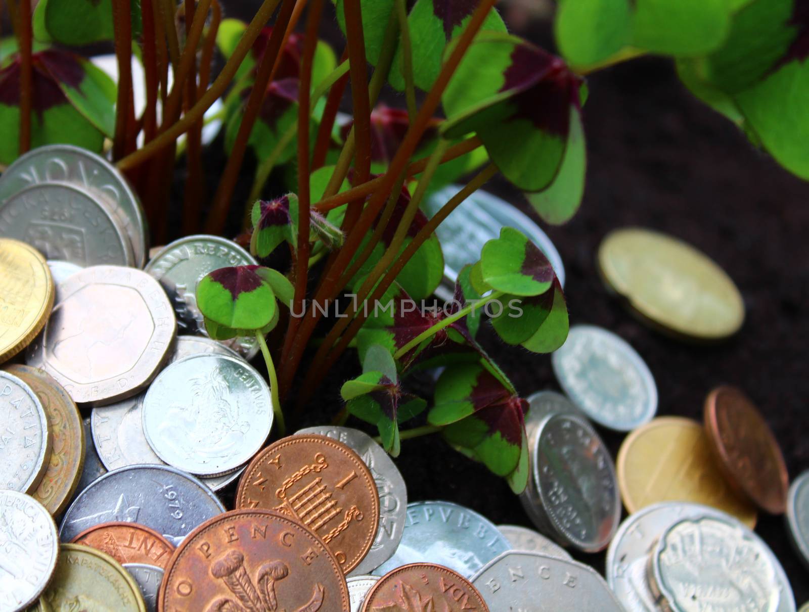 coins from foreign countries and lucky clover by martina_unbehauen