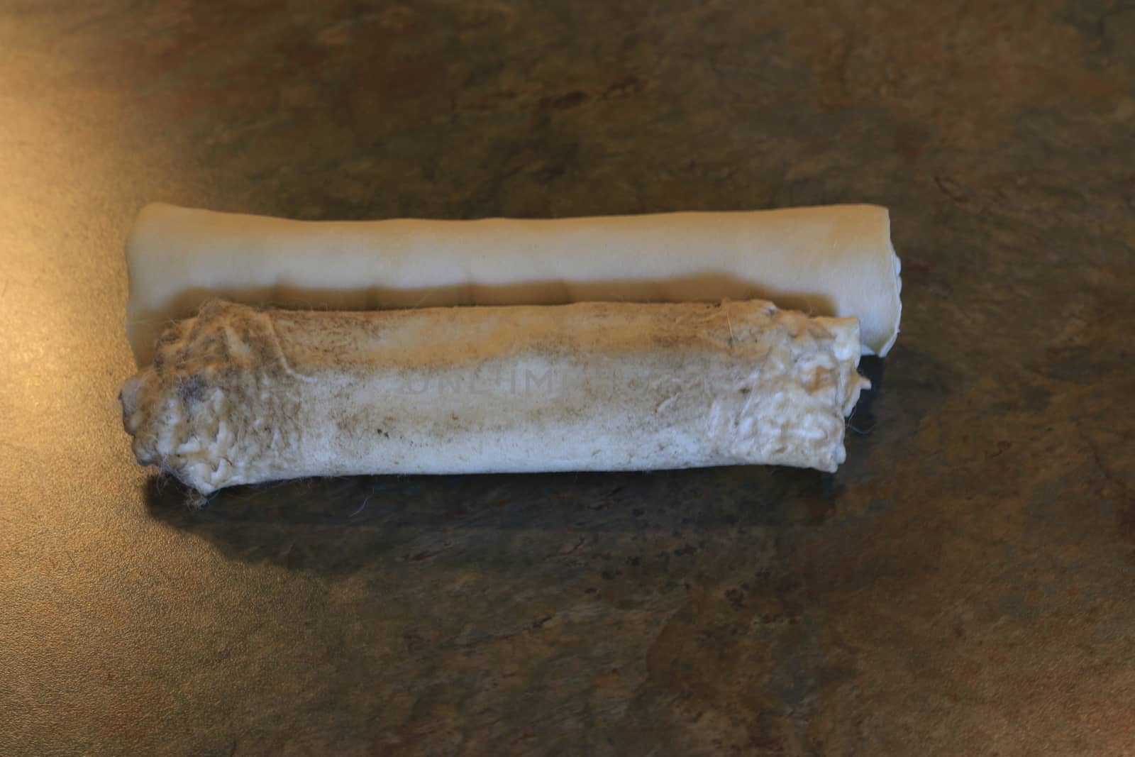 rawhide is considered a controversial dog chew due to the risk of dogs choking. Photo showing partly chewed rawhide by mynewturtle1