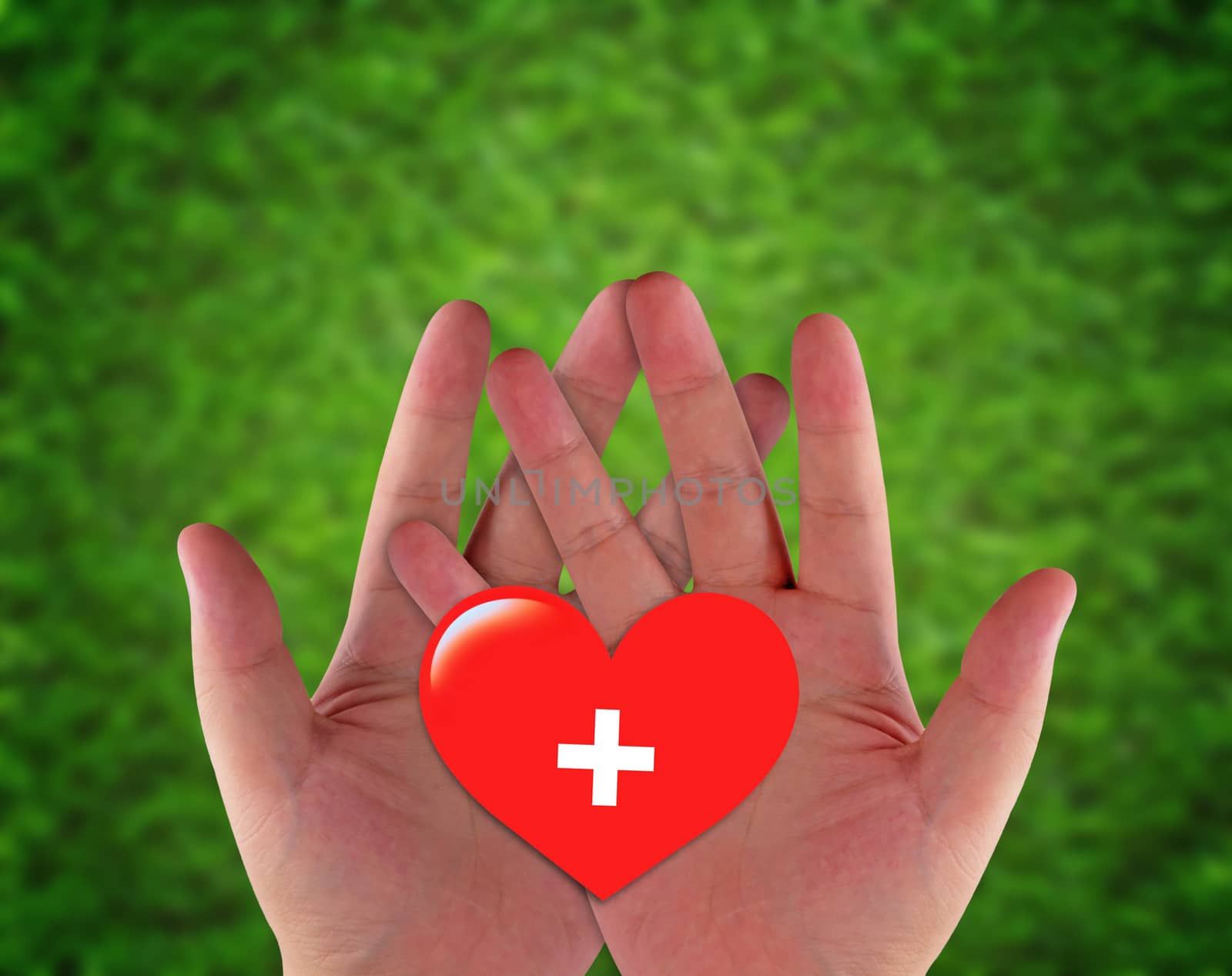 Health care and insurance concept, hand and red heart paper cut on green blur background