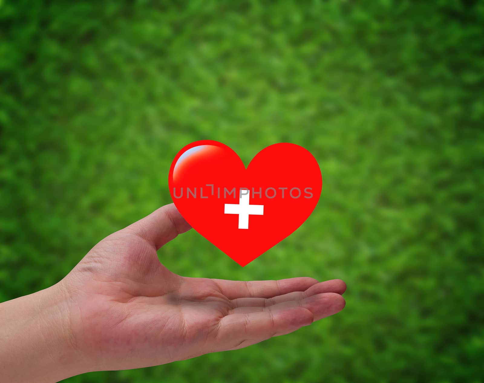Health care and insurance concept, hand holding red heart paper cut on green background