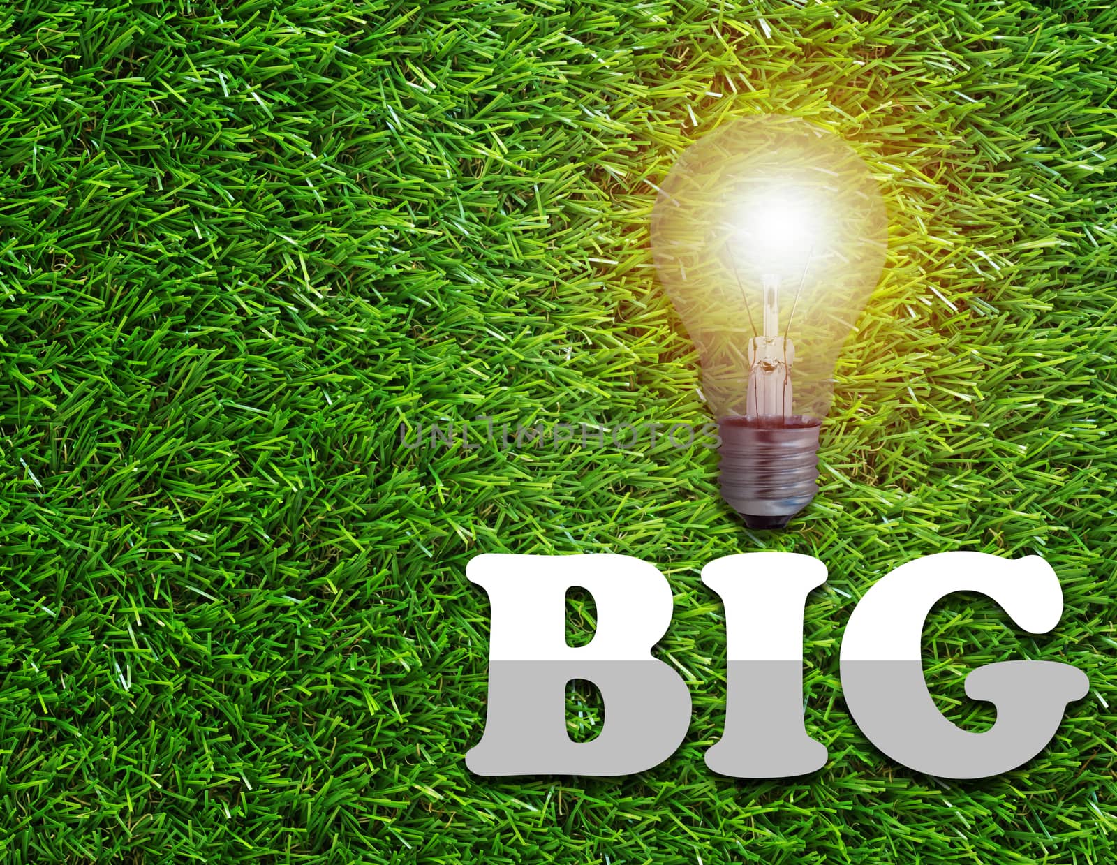 Think big concept, light bulb on green grass background