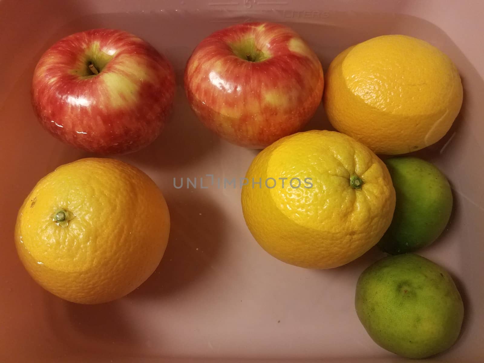 apples and oranges and limes floating in water in pink container