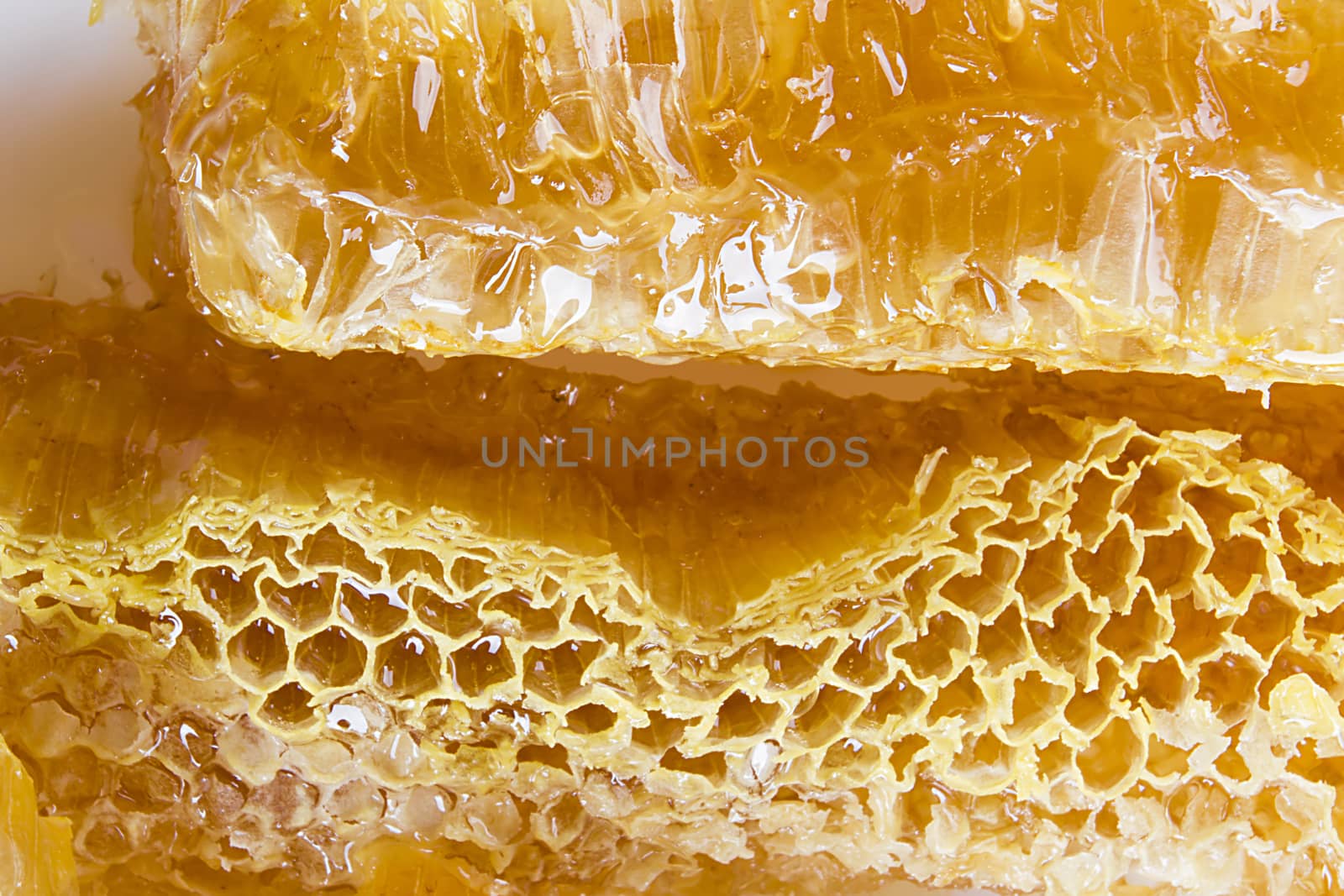 Slice of honeycombs with organic honey closeup
