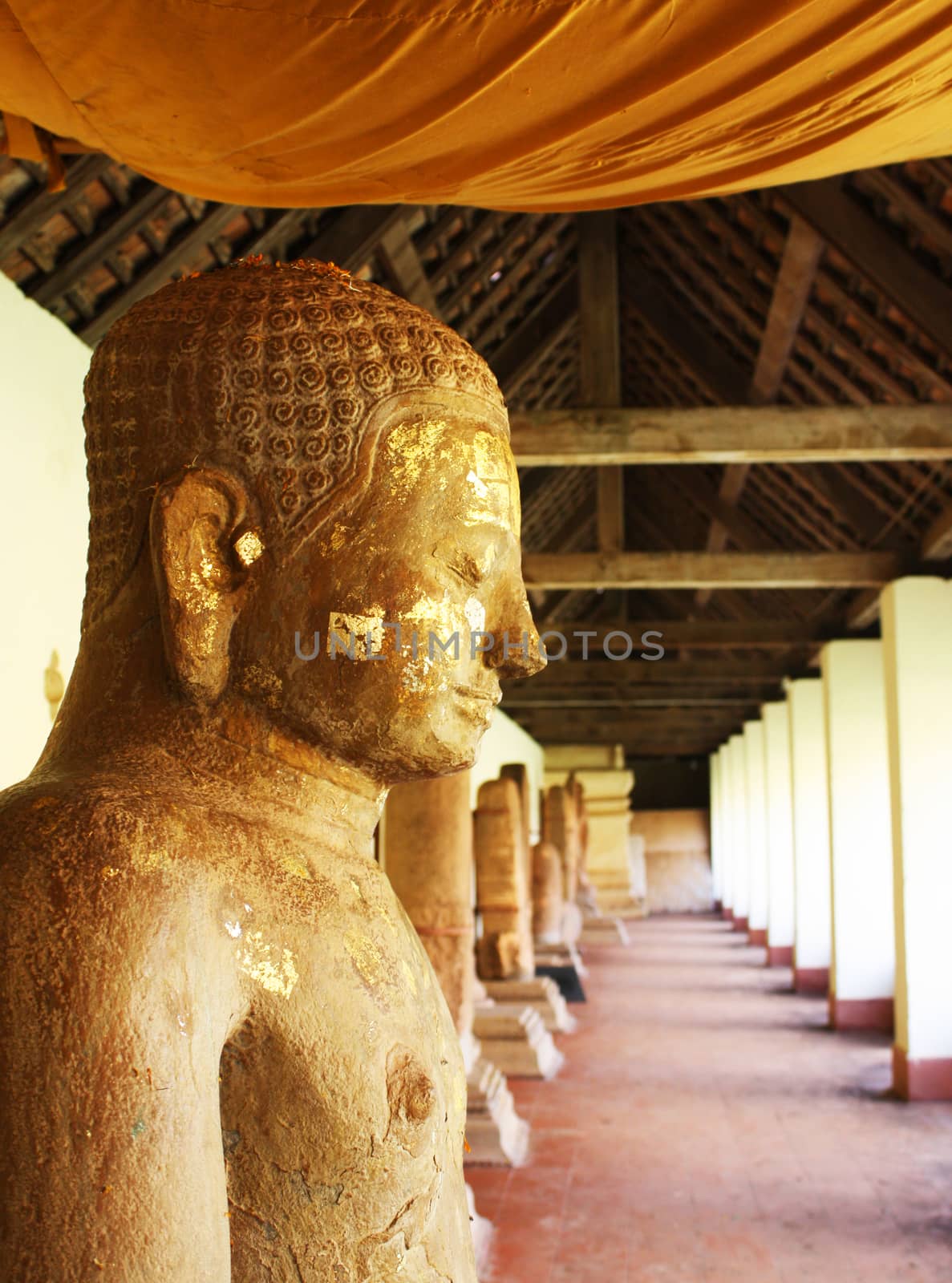 Buddha statue in the temple