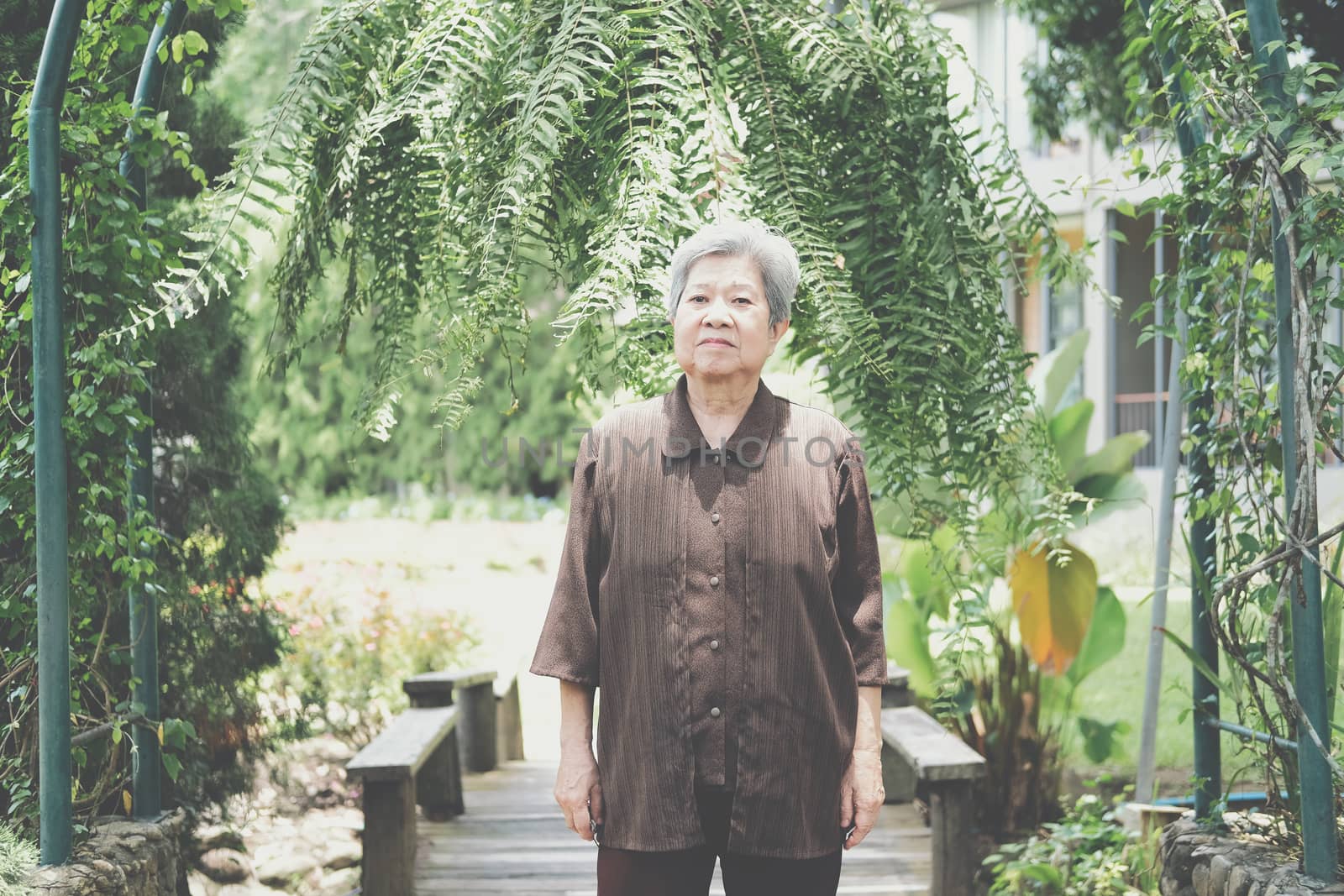 elder woman resting in garden. asian elderly female relaxing outdoors. senior leisure lifestyle