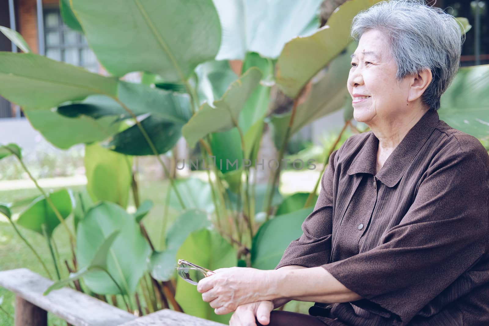 elder woman resting in garden. asian elderly female relaxing outdoors. senior leisure lifestyle