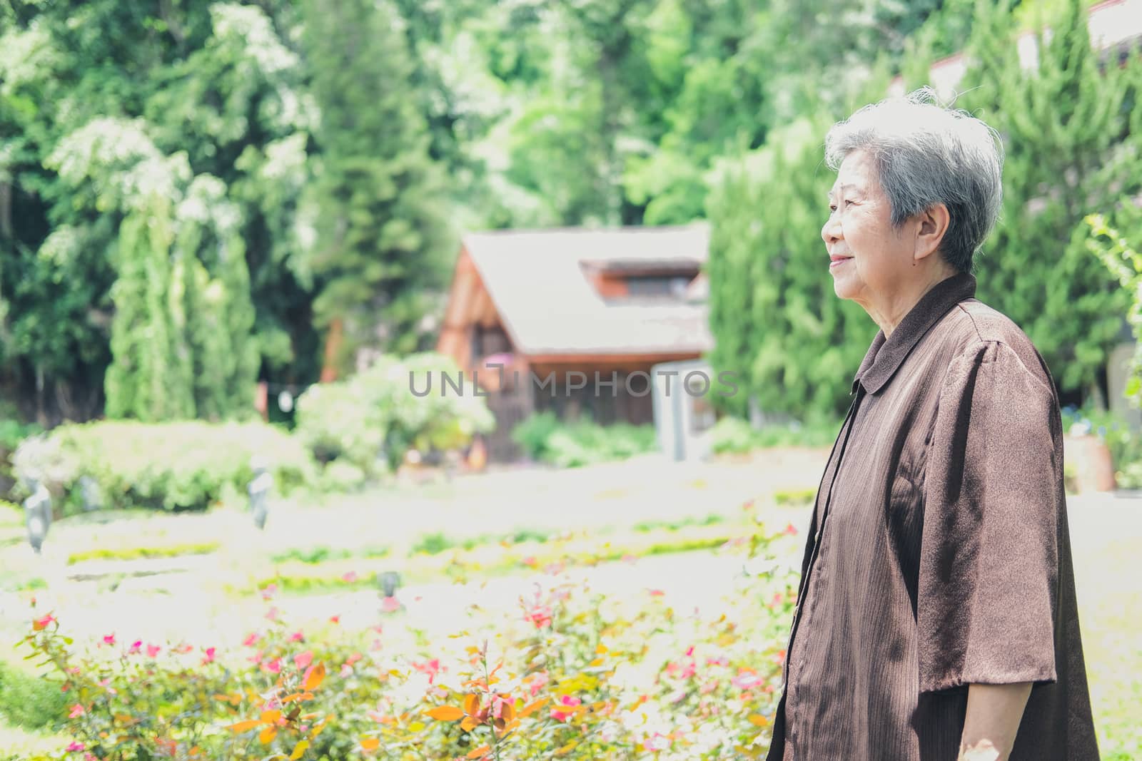elder woman resting in garden. asian elderly female relaxing outdoors. senior leisure lifestyle