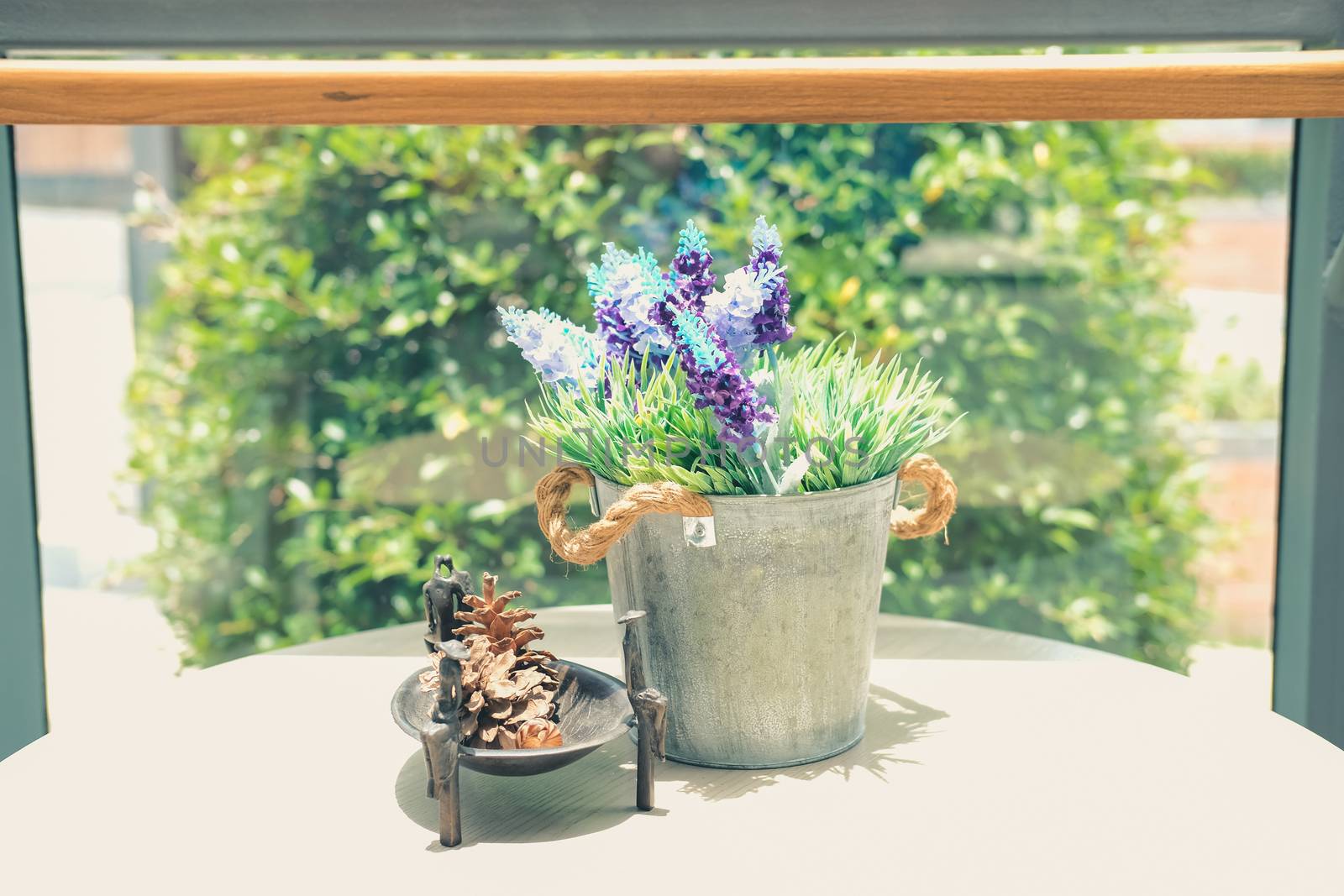 plant flower in metal tin bucket decorating in living room home interior