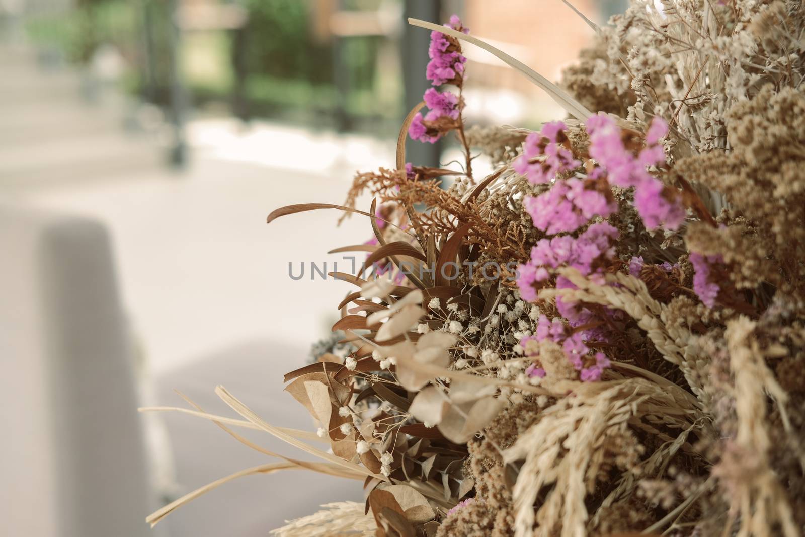 brown leaves plant & purple flower decorating in living room home interior