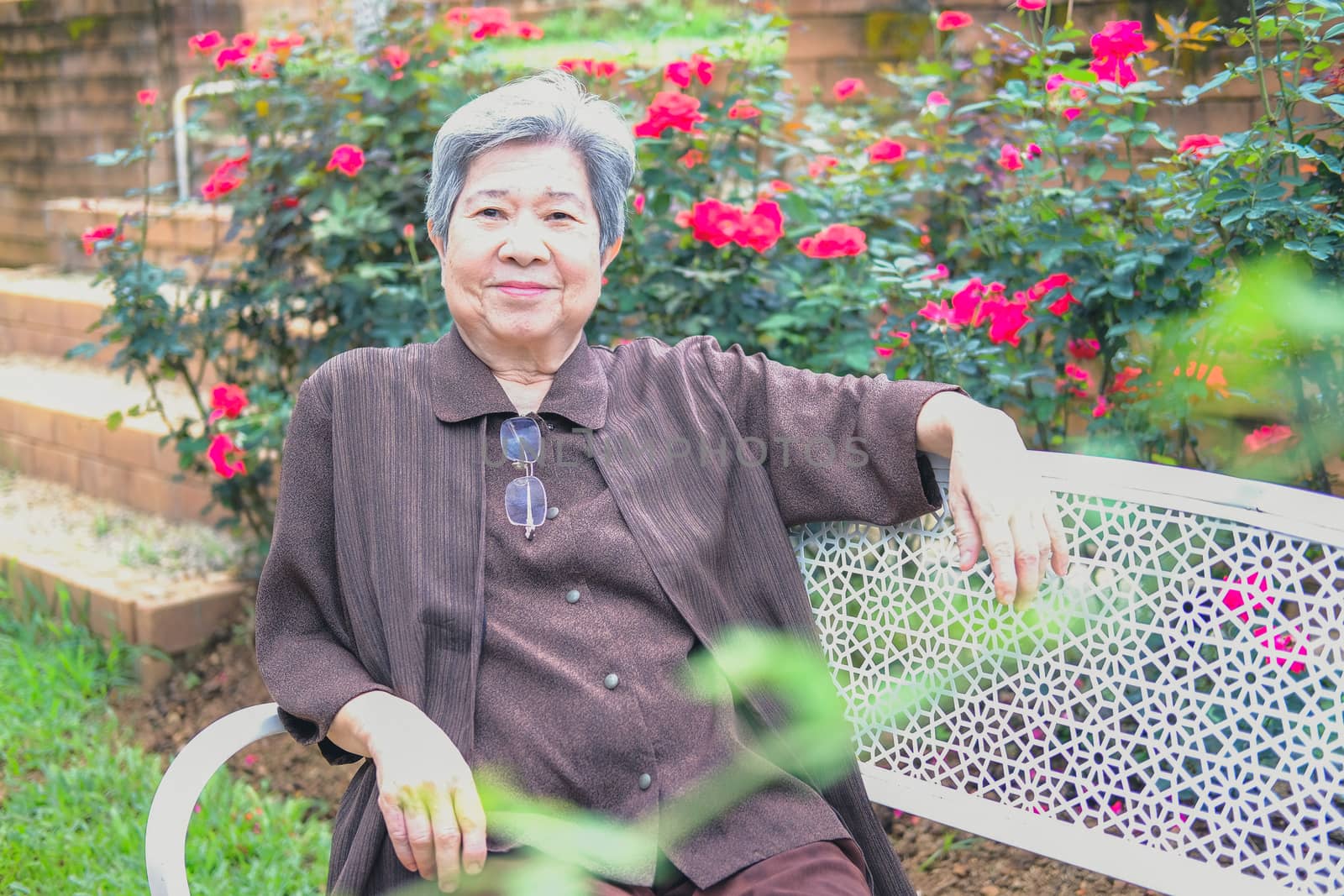 elder woman resting in rose flower garden. asian elderly female relaxing outdoors. senior leisure lifestyle