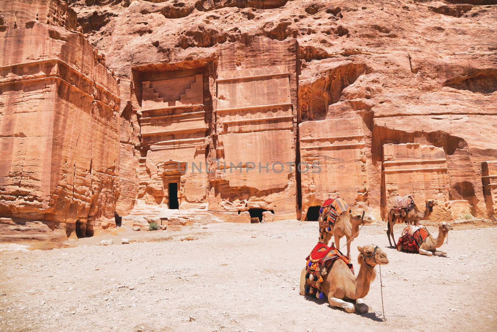 Jordan travel background with camels in front of monastery ruins in Wadi Rum desert. Nature landscape by Maridav