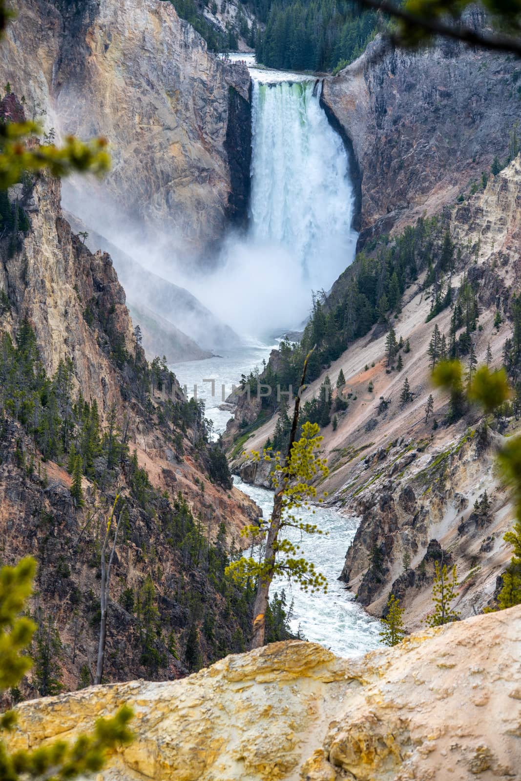 Amazing waterfalls in Yellowstone National Park, Wyoming by jovannig