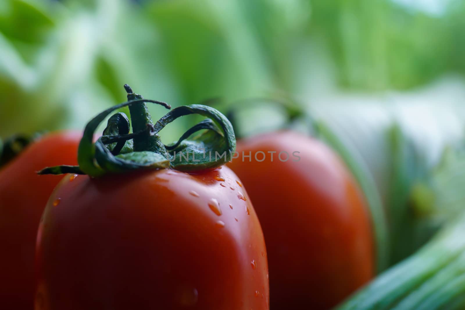 Healthy nutrition with fresh raw vegetables: close up detail of a tomato in the foreground on green vegetables in background bokeh effect